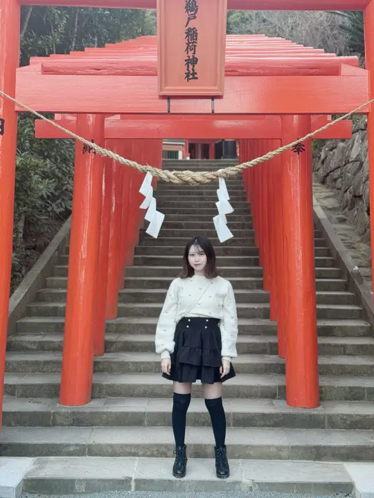 ギャラリー 212