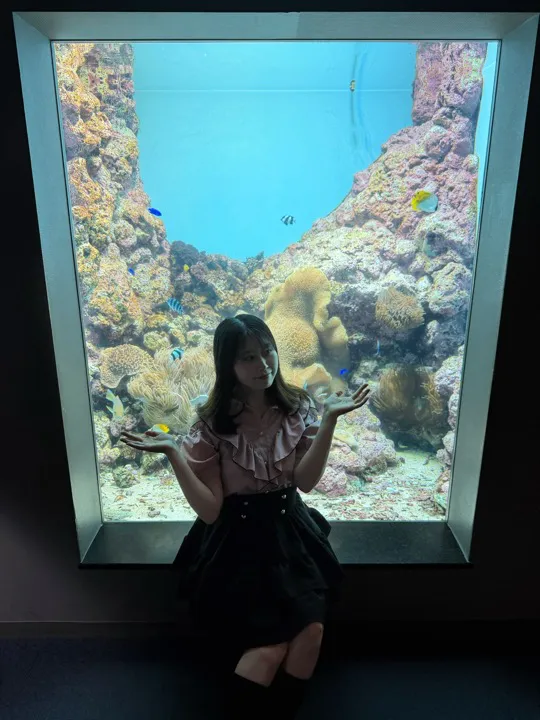 水族館 08